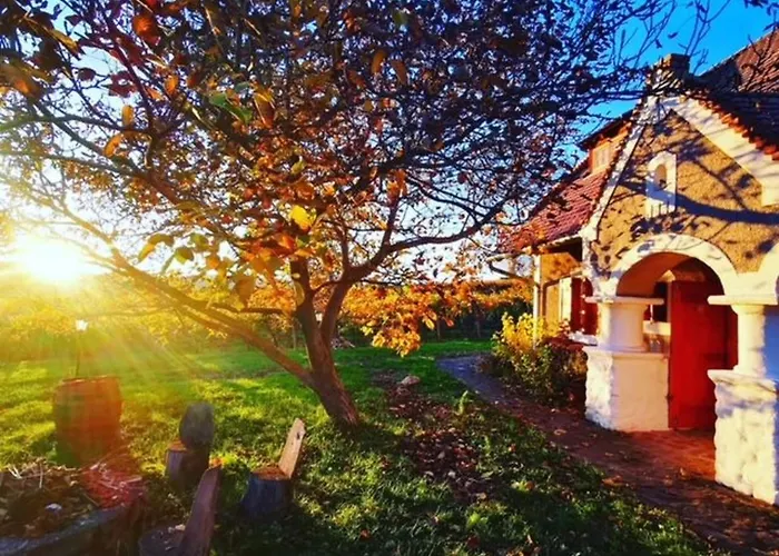 Am Weinberg By Interhome * Köveskál